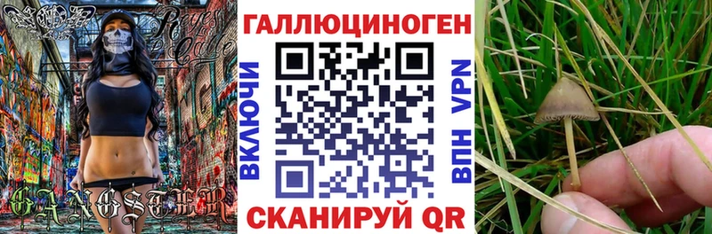 Псилоцибиновые грибы GOLDEN TEACHER как найти закладки Болгар