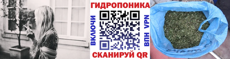 Конопля марихуана  omg ТОР  Болгар 